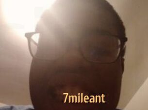 7mileant