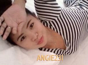 ANGIE231