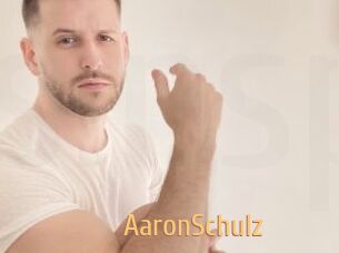 AaronSchulz