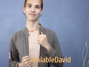 AmiableDavid