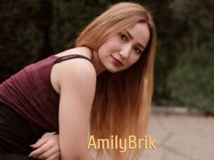 AmilyBrik