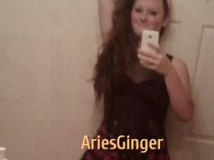 AriesGinger
