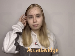 Accadavidge