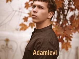 Adamlevi