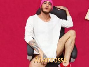 Adamrosse