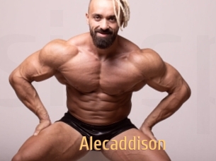 Alecaddison