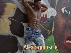 Alexbigmuscle