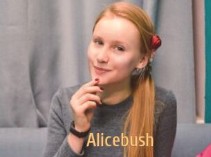 Alicebush
