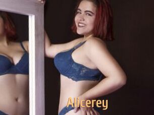 Alicerey