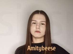 Amitybeese