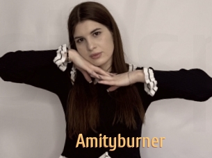 Amityburner