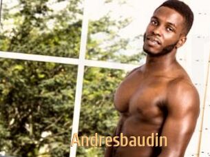 Andresbaudin