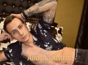 Andyhandsome