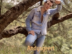 Andysgeert