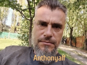 Anthonyalf