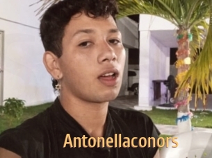 Antonellaconors