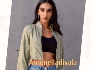 Antonelladivala