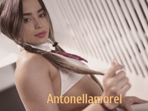 Antonellamorel