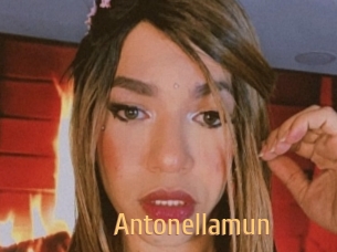 Antonellamun