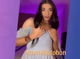 Antonellatobon