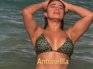 Antonellla