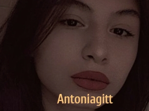 Antoniagitt