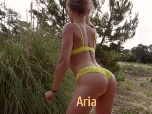 Aria