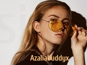 Azaliabuddyx