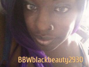 BBWblackbeauty2930