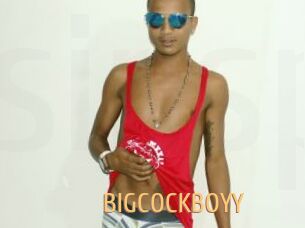BIGCOCKBOYY