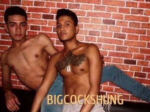 BIG_COCKS_HUNG