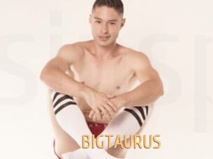 BIGTAURUS