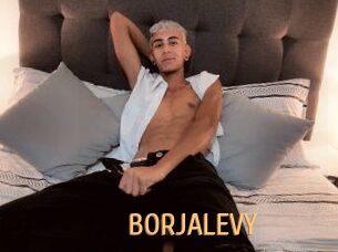 BORJALEVY