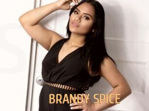 BRANDY_SPICE