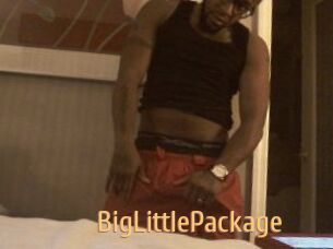 BigLittlePackage