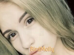 BirdMolly