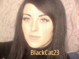 BlackCat23