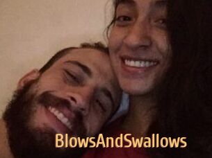 BlowsAndSwallows