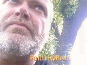 BoldIrishBear