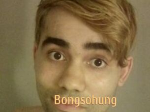 Bongsohung