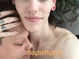 BoytoiHybrid