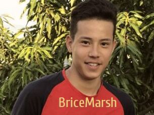 BriceMarsh