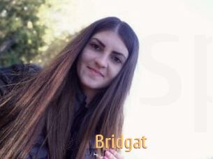 Bridgat