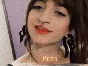 Briza