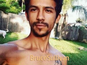 Bruce_Sullivan