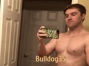Bulldog35