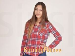 BurningFlamee