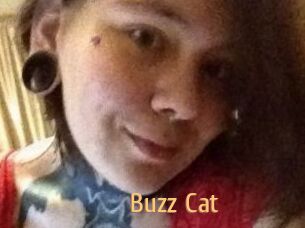 Buzz_Cat