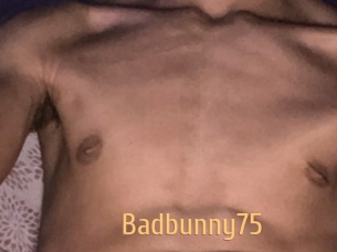 Badbunny75