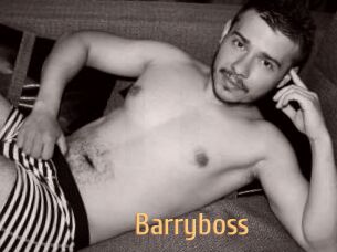 Barryboss